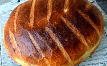 савори