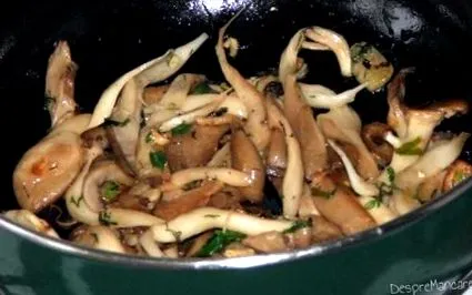 nyelvéből