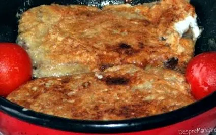 nyelvéből
