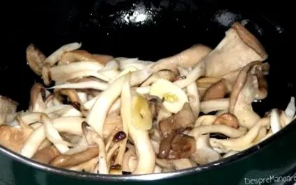 pane