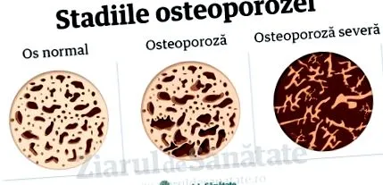 szerepéről