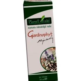 egészségünk belbeli