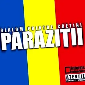 diskografia zviera