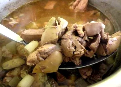 domáca