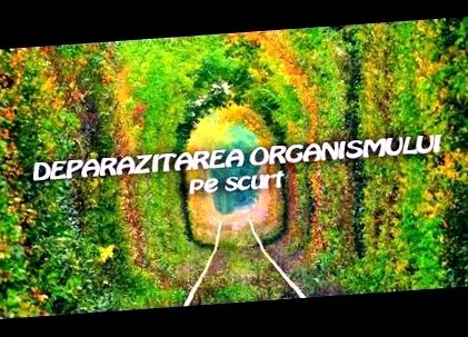 товстої