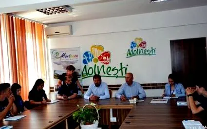 moinești generation