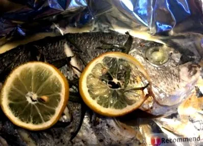 dorado