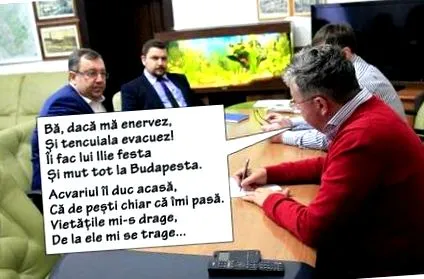 megyei