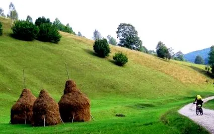 okot
