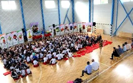 szuceavai szuceavai