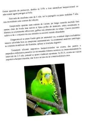інфекційні засоби поради лікарів