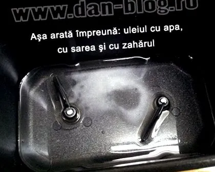 домашнього