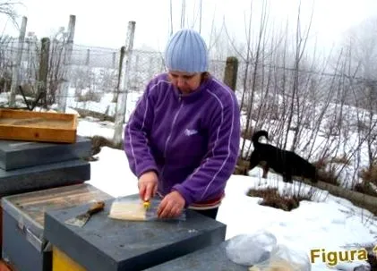 étel étel