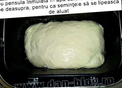 домашнього