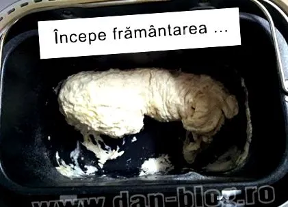 домашнього