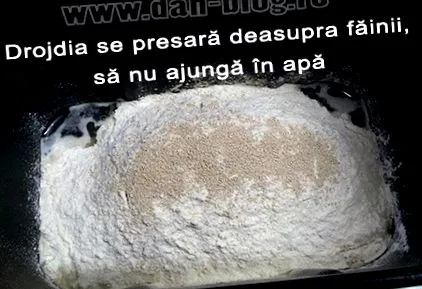 домашнього