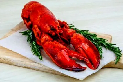recept finom