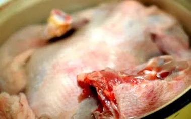 chicken