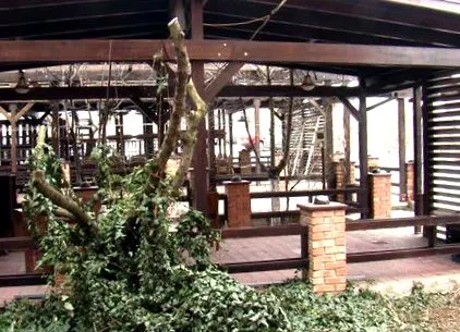 pizzéria pizzéria