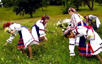 nyár