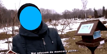дивиот дивиот