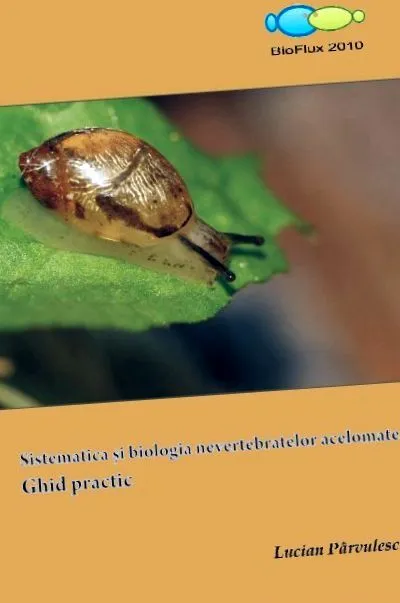diplomoblasztikus
