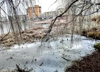 прогулянку східним