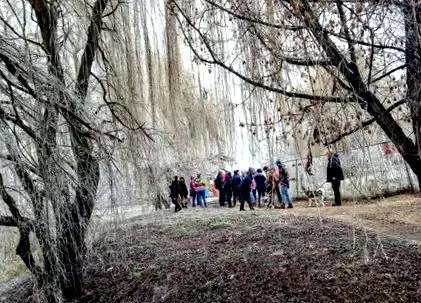 використати прогулянку