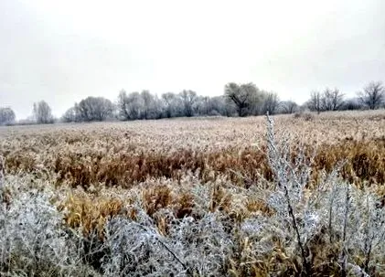 парком прогулянку