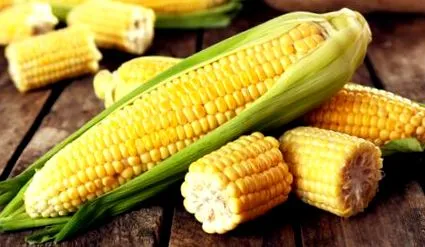 nyertesek