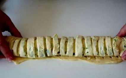 csigapite csigapite