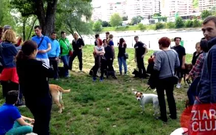 нова полиция