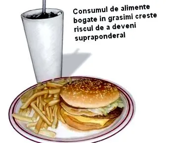 слики