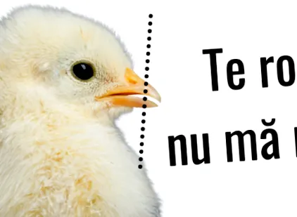 levágásának levágásának