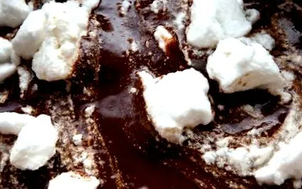 torta