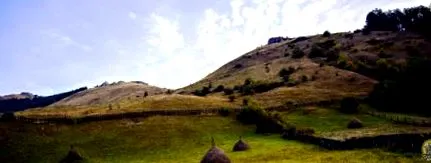 psami
