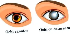 синтетички