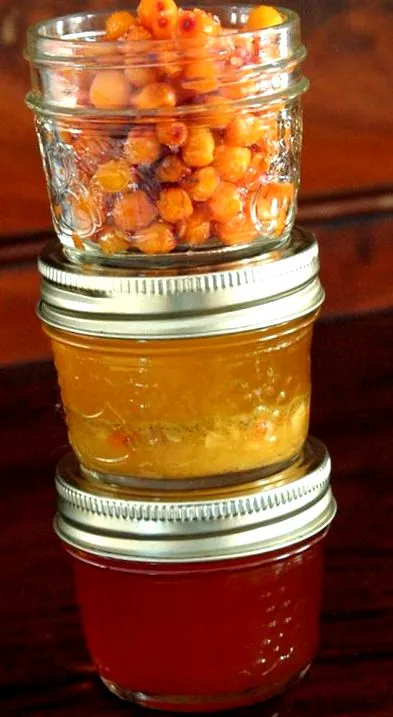 rakytníka