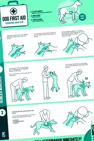 akútnom