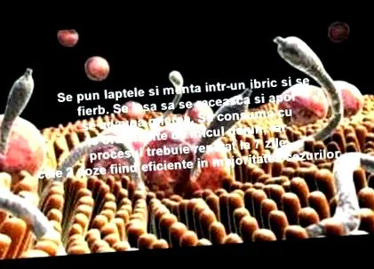 készítmények
