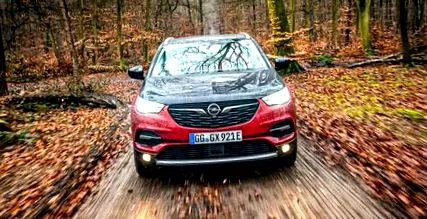 тест opel