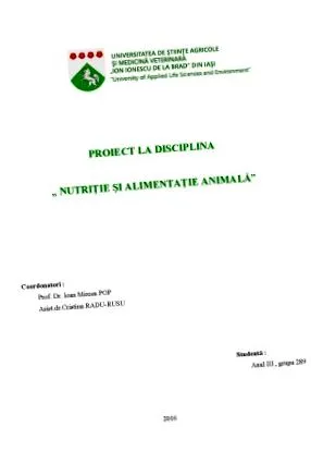 projekt takarmányozási