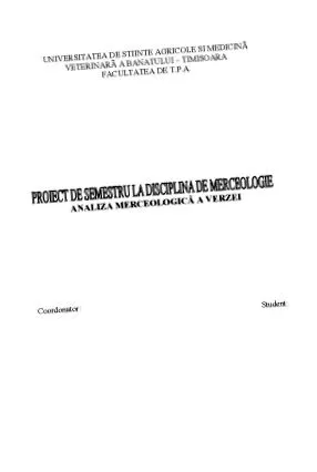 projekt