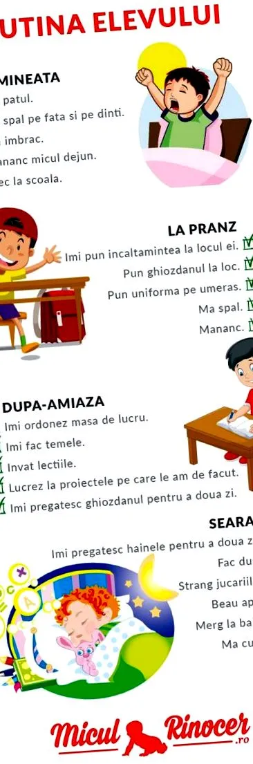 program