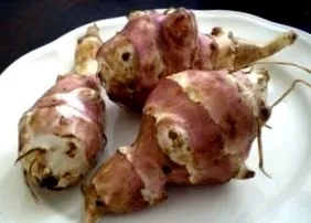 tulajdonságai