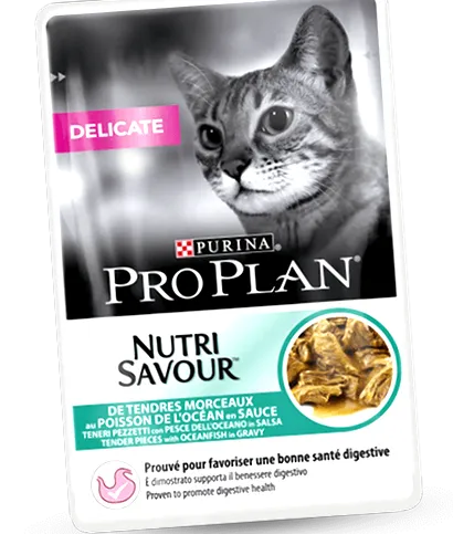 nutrisavour