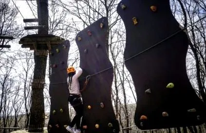 adrenalin