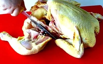 csirkecomb
