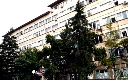 csirke