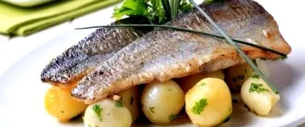 готвење рецепти